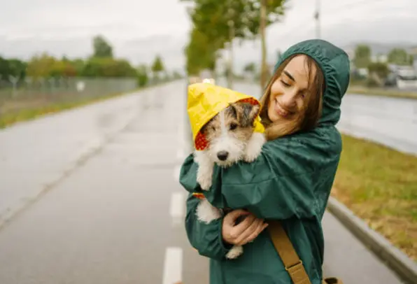 Perrto ataviado en un día de lluvia