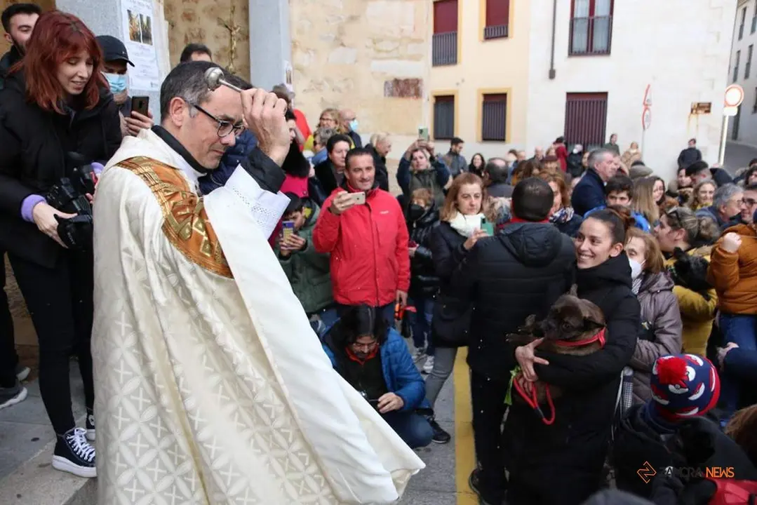 Acto de bendición a los animales_25
