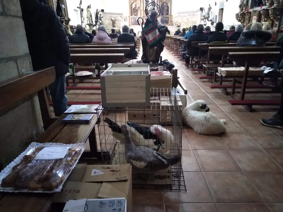 Subasta de San Antón (4)