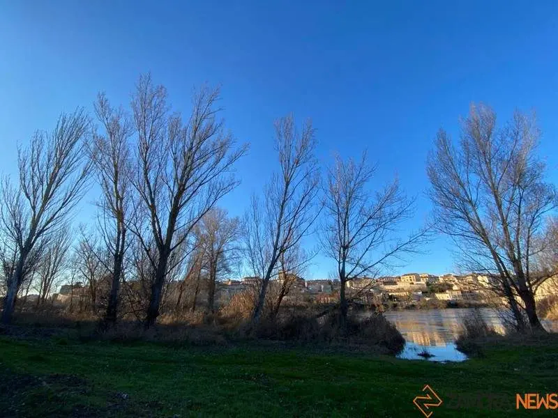 Día frío y soleado en Zamora (2)