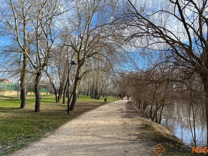 Día soleado en Zamora (2)