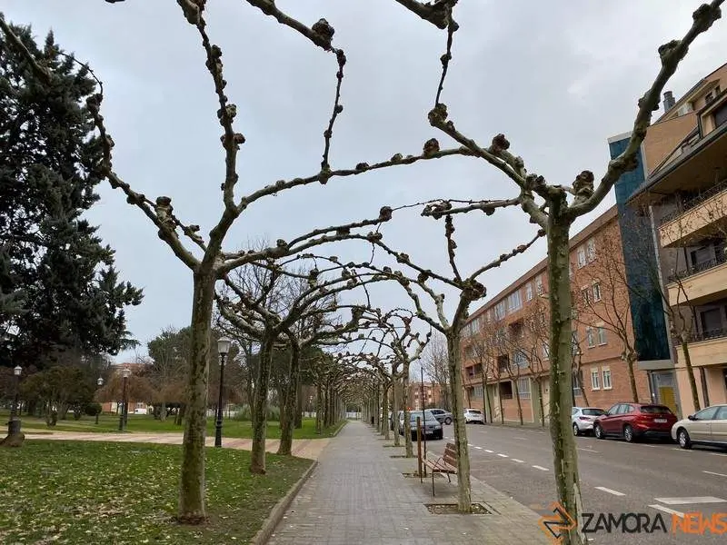 Cielo nuboso en Zamora