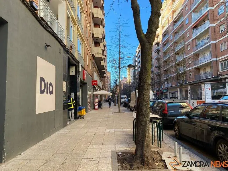 Zamora (2)