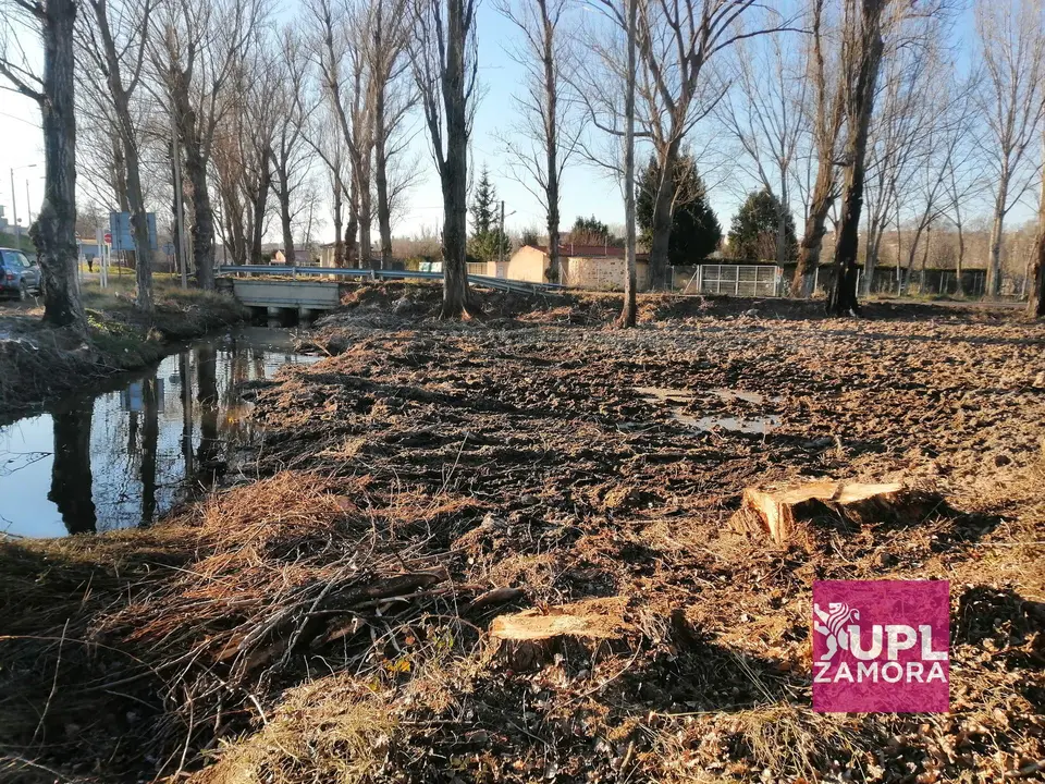 Arroyo de Reguero