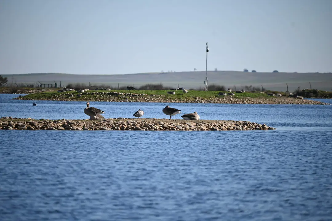 Visita a Las Lagunas de Villafáfila