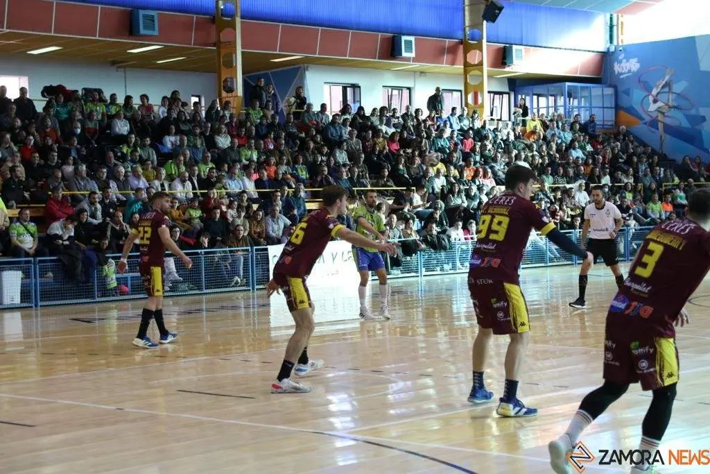 Balonmano Zamora-Villa de Aranda_13