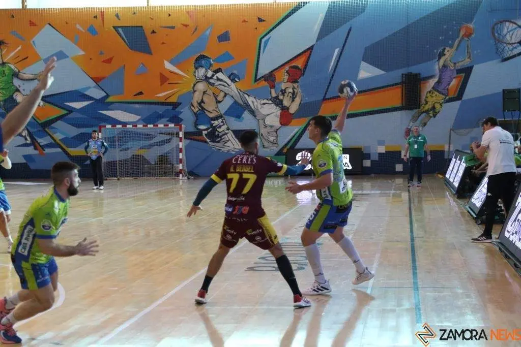 Balonmano Zamora-Villa de Aranda_14