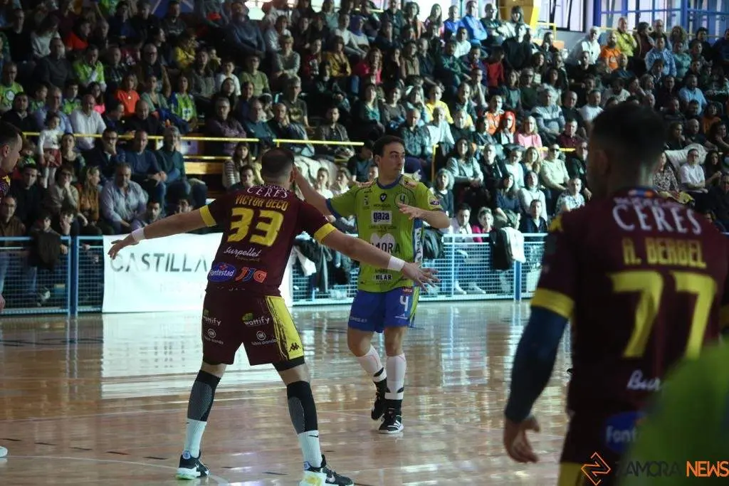 Balonmano Zamora-Villa de Aranda_17