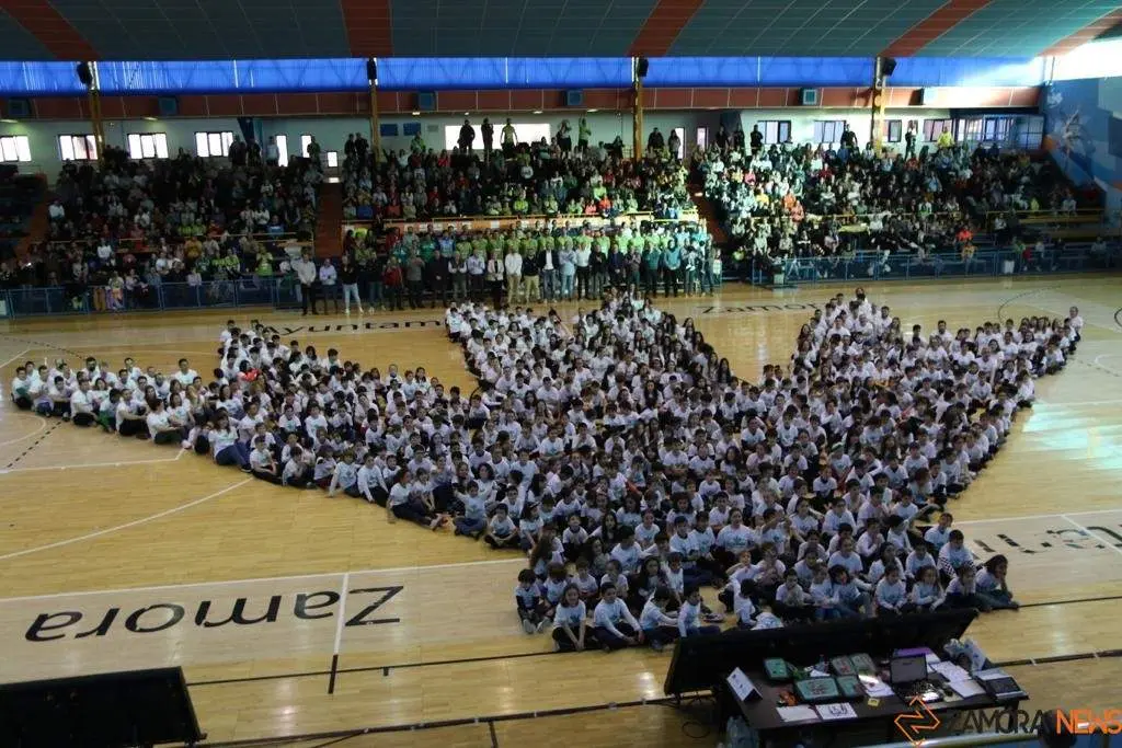Balonmano Zamora-Villa de Aranda_24