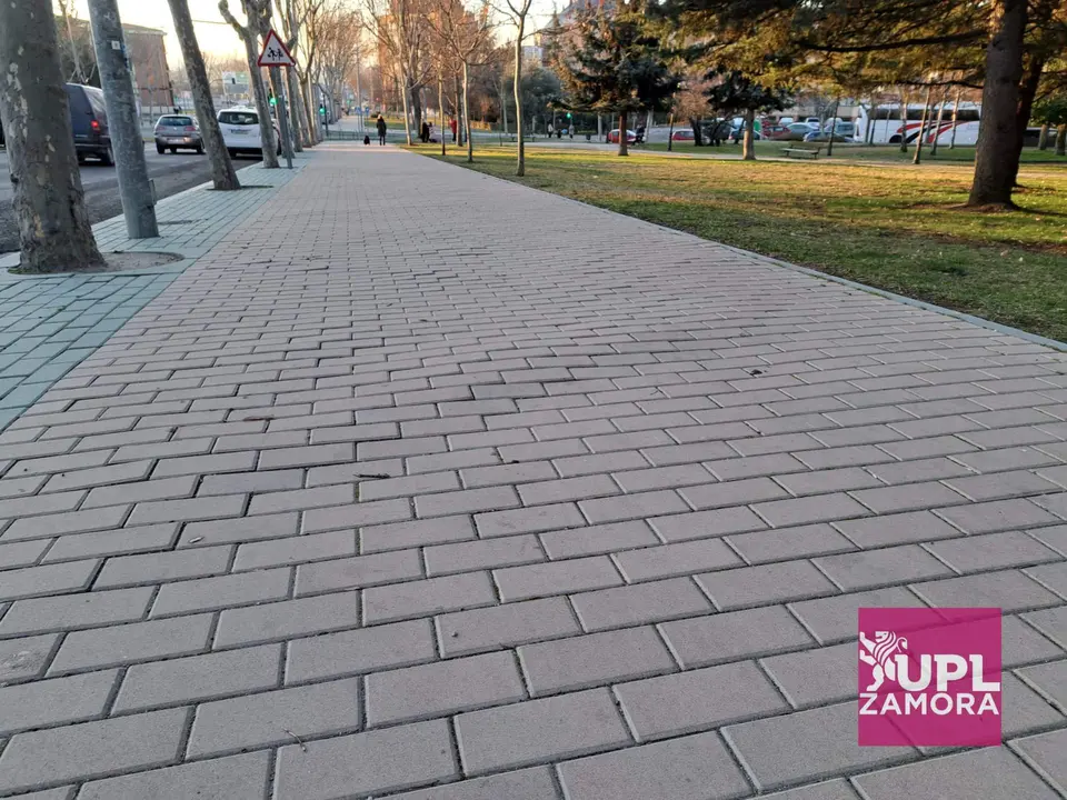 Adoquinado avenida Cardenal Cisneros