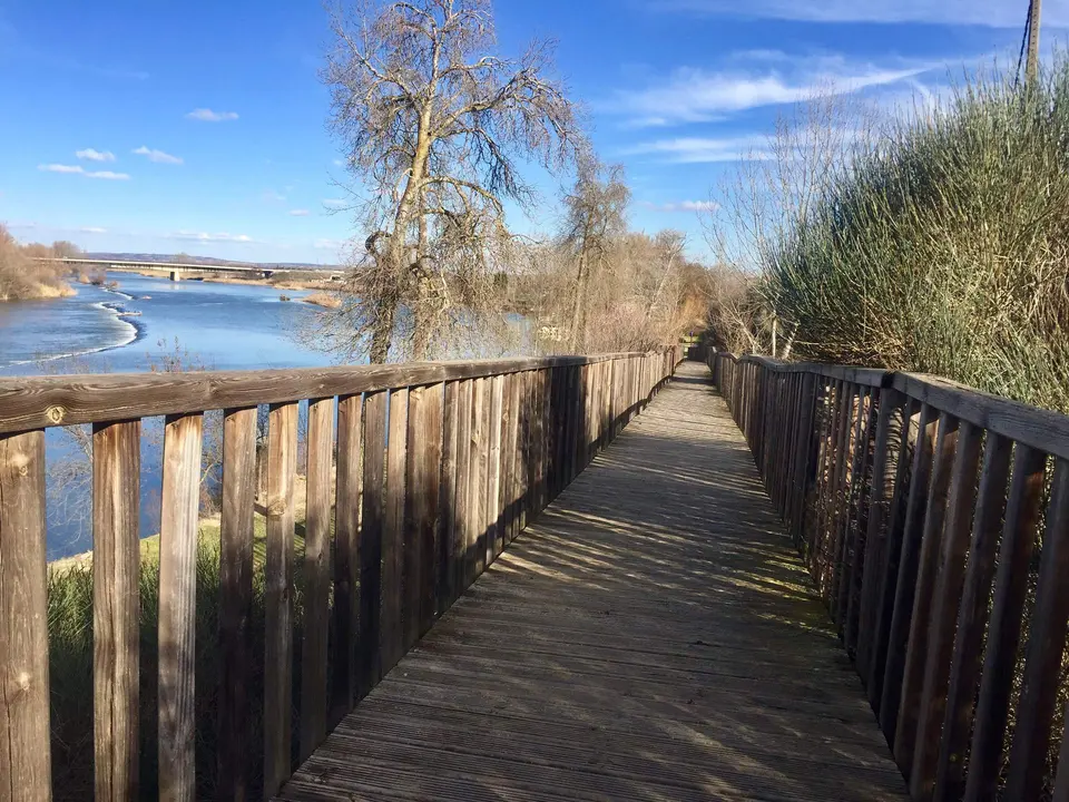 Paseo junto al Duero