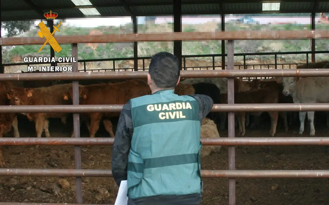 Operación Guardia Civil
