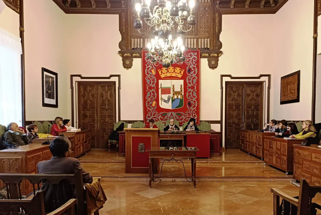 Consejo de la Mujer en el Salón de Plenos del Ayuntamiento de Zamora