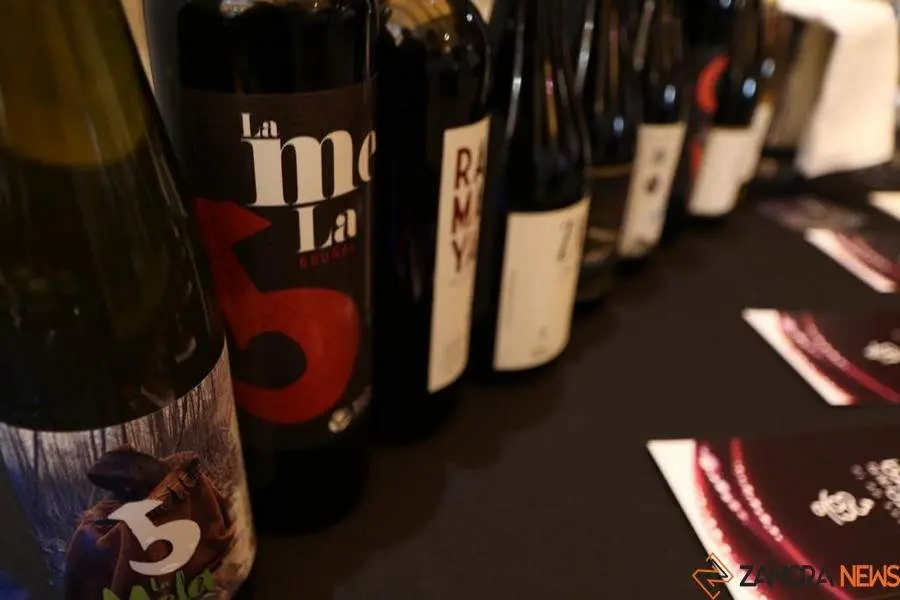 Vinos sierra de la culebra_9