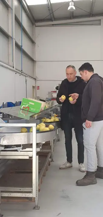 ayudas a microempresas diputación