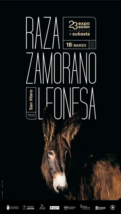 23 exposición monográfica de la raza asnal zamorano leonesa
