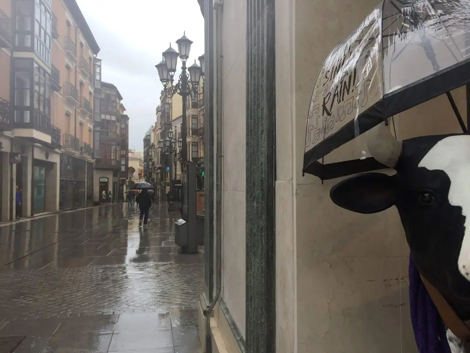 Lluvia en Zamora