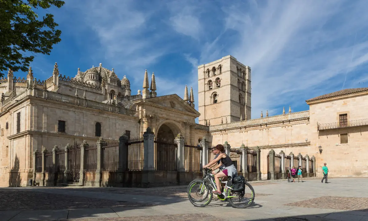 Paseantes y turistas en la Catedral de Zamora. Asno zamorano leonés. Fotografía: @ZamoraSpain