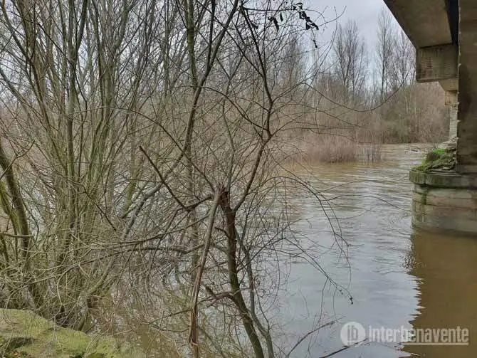 Río de Santa Cristina de la Polvorosa  vía Interbenavente.es