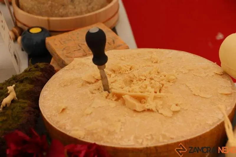 Túnel del queso (9)