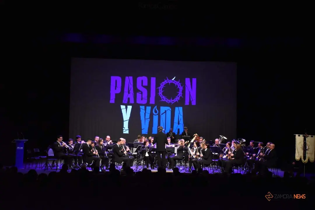 Concierto de marchas de Semana Santa 'Luz y Vida' Asociación Musical Villa de Olmedo_2