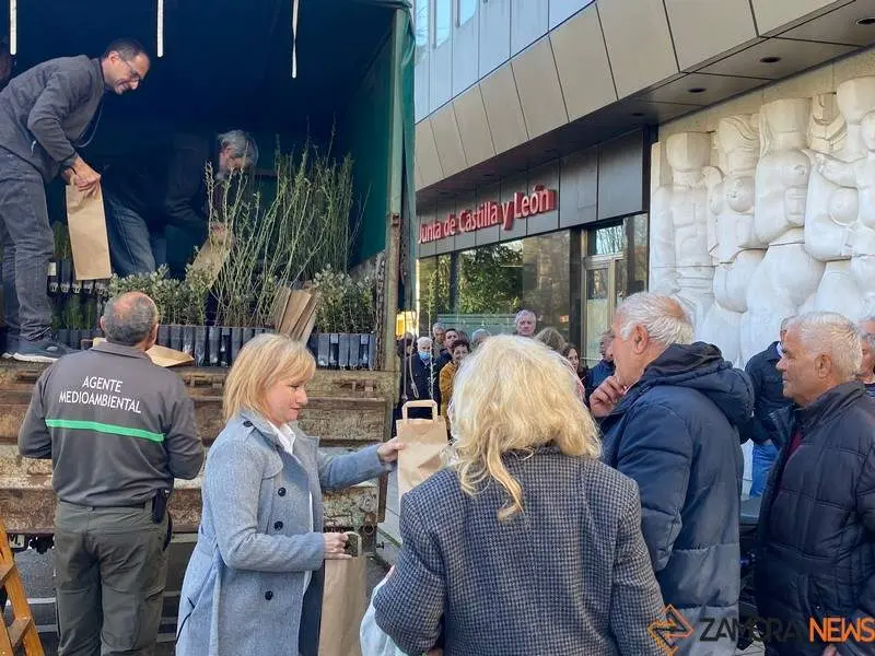 Día del Árbol