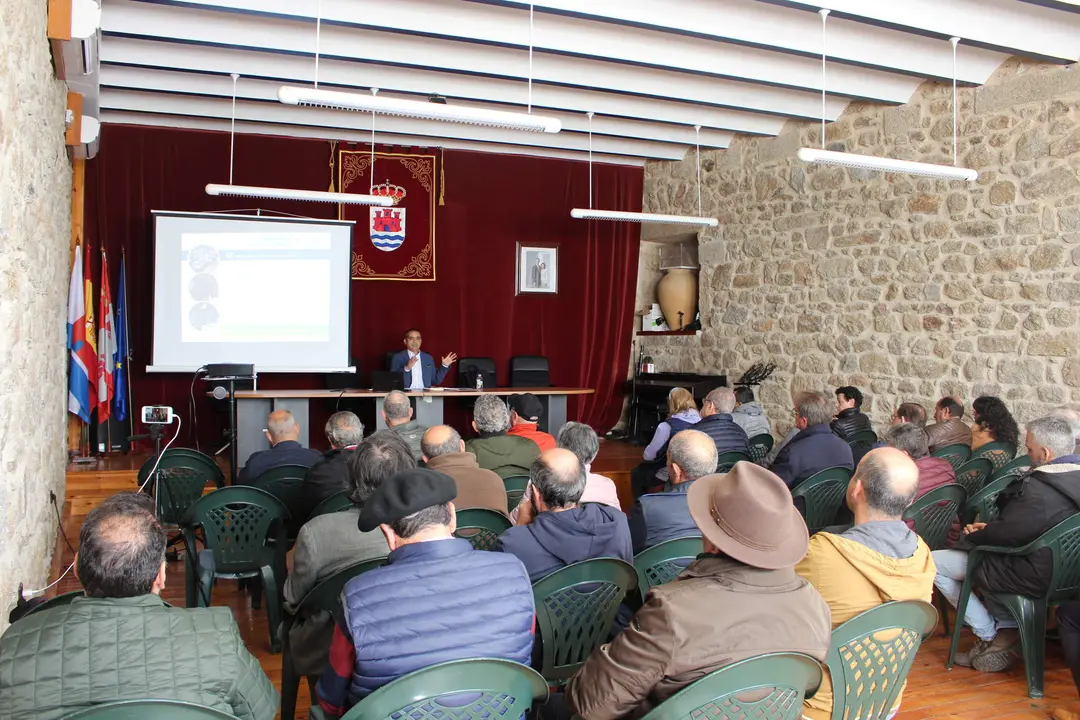 Presentación del proyecto