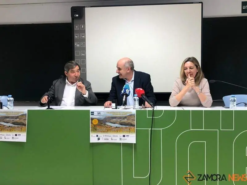 UNED Zamora