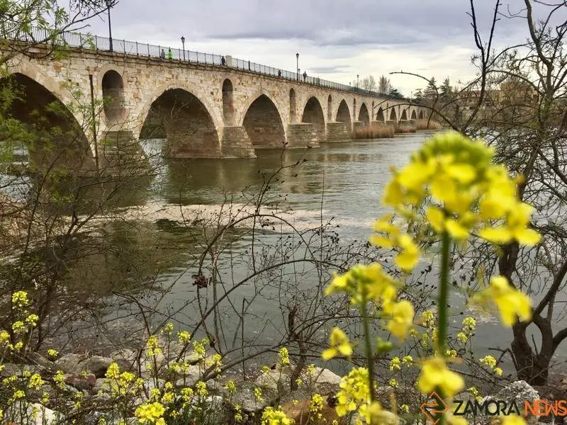 Puente de Piedra