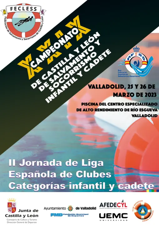 Cartel del XXIX Campeonato de CyL Infantil y Cadete