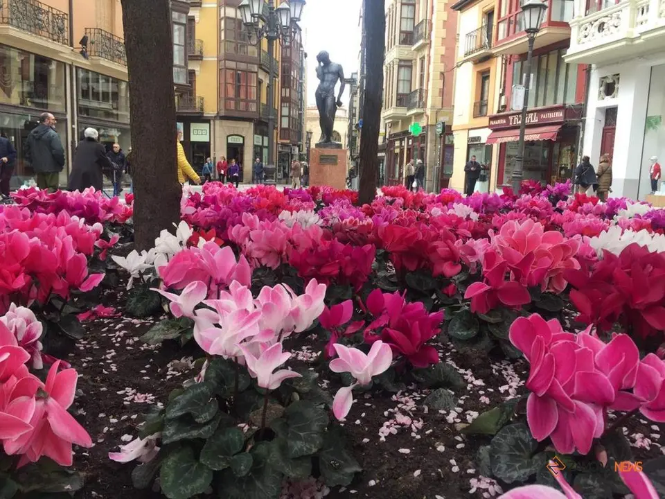 La Plaza Sagasta engalanada por primavera