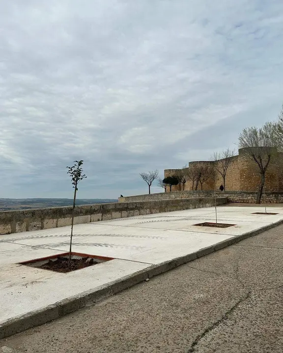 Plantación Toro