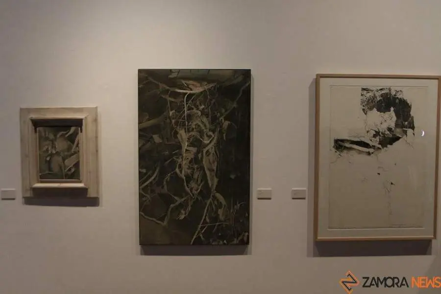 Exposici&oacute;n Jos&eacute; M. mezquita_4