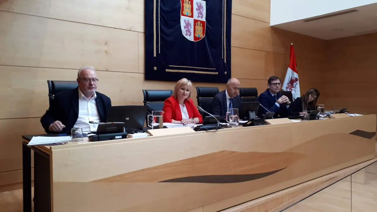 Delegada+durante+comparecencia+en+la+Comisión+de+la+Presidencia+en+la+Cortes+de+Castilla+y+León
