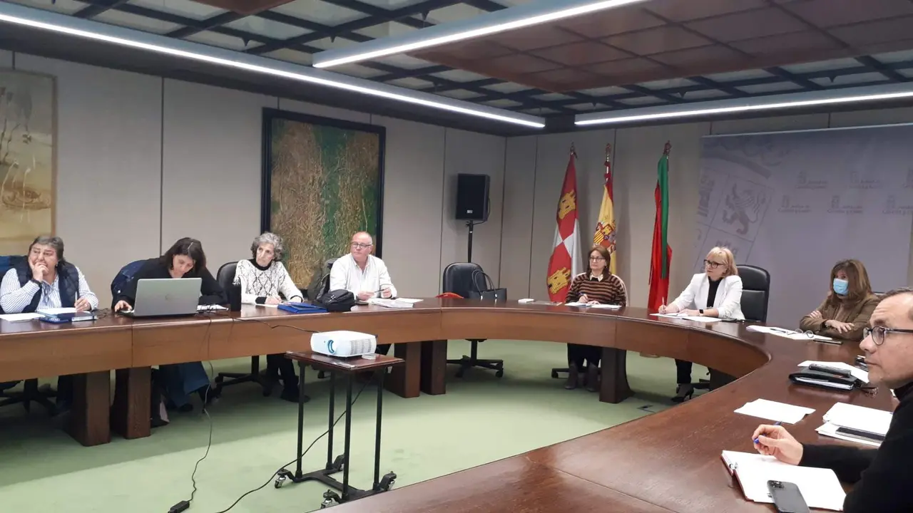 Comisión de Patrimonio finales de marzo
