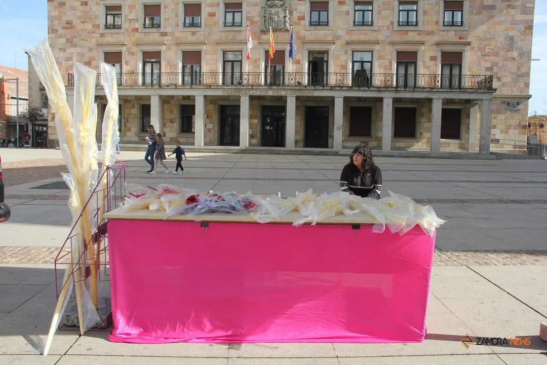 Puesto de palmas en la plaza de la Subdelegación