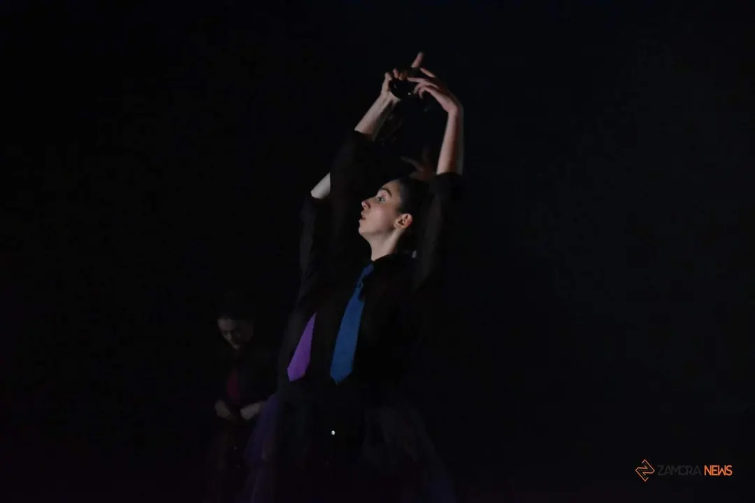 II Gala de Danza a favor de la Asociación Contra el Cáncer de Zamora_7