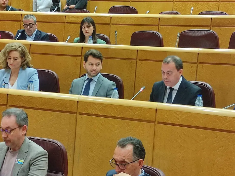 intervención Presidente diputación en Senado