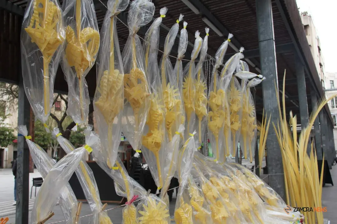 Palmas para el Domingo de Ramos (1)