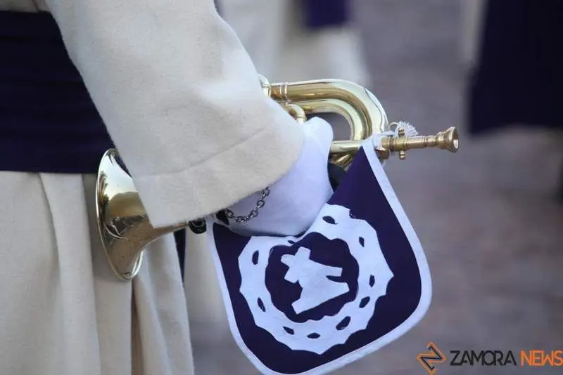 Cofradía de Jesús del Vía Crucis (19)