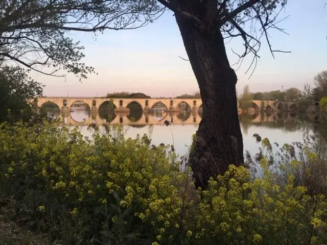Puente de Piedra