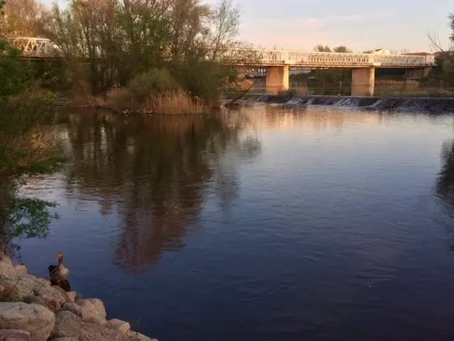 Paseo junto al Puente de Hierro