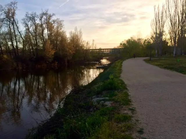 Paseo de Los Tres Árboles