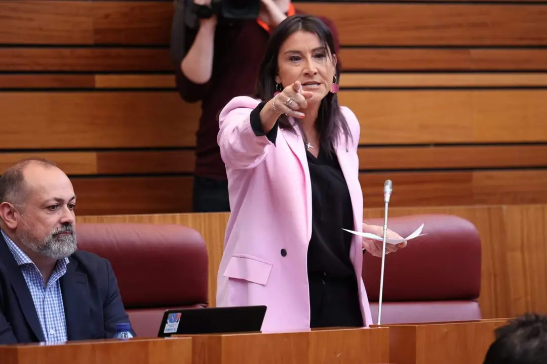 01 PSOEZAM. Ana Sánchez Pleno Cortes CyL 11-04-2023
