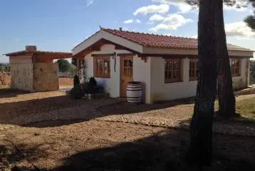 viña del abuelo de toro