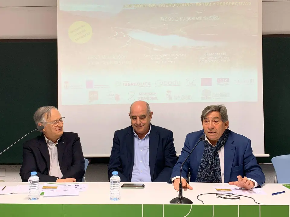 UNED Zamora