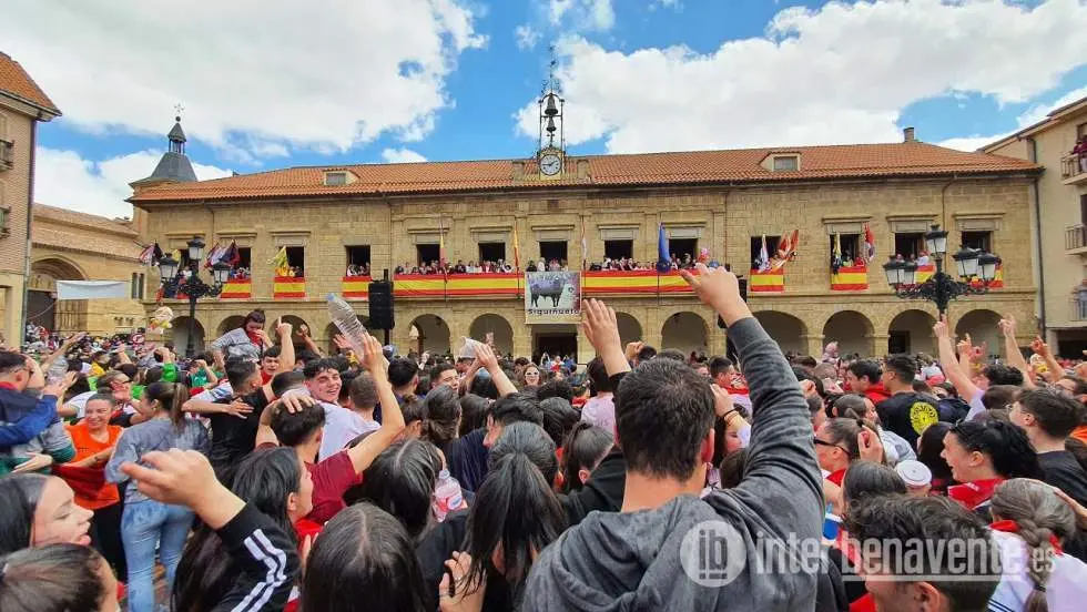 el toro benavente