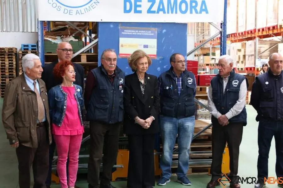 Visita Reina Sofía_38