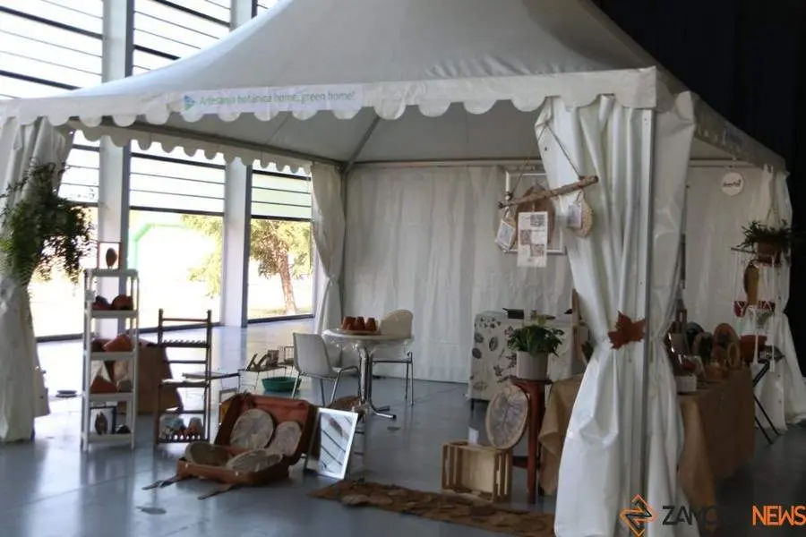 Feria Mobiliza _6