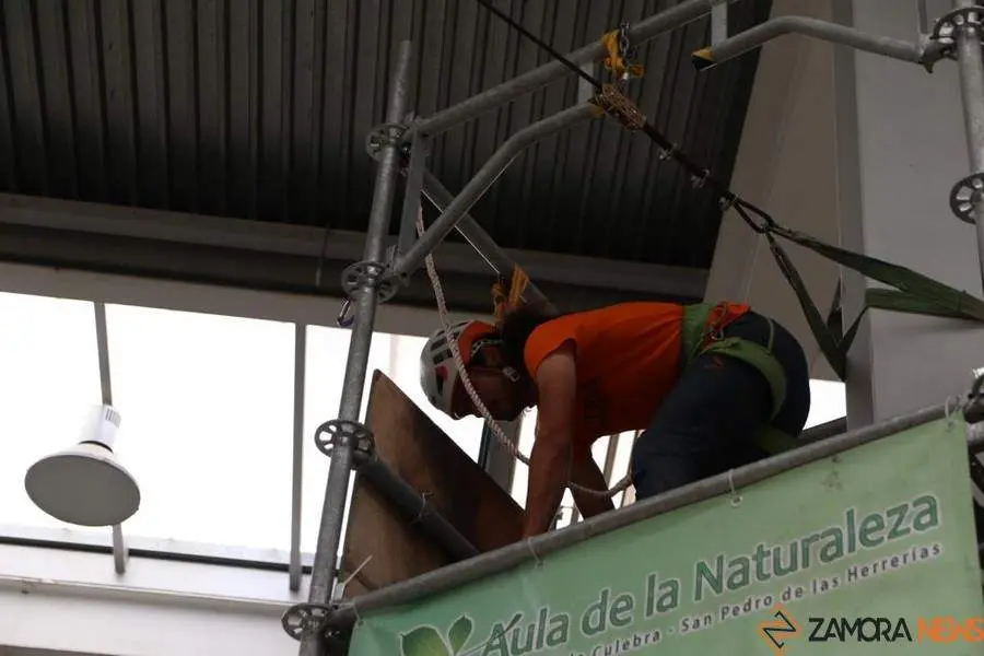Feria Mobiliza _14